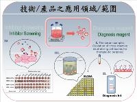 重組流感類病毒顆粒成為能取代傳統真病毒製備檢驗試劑及治療性抗體之最佳抗原,且具有發展成有效且安全之通用疫苗之潛力 重組流感類病毒顆粒成為能取代傳統真病毒製備檢驗試劑及治療性抗體之最佳抗原,且具有發展成有效且安全之通用疫苗之潛力