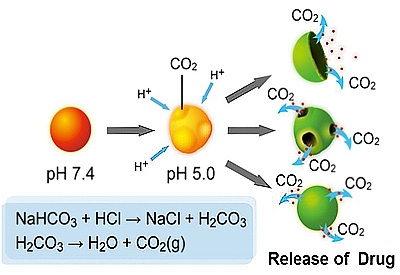 由於碳酸氫鈉於酸性環境時會與H+反應產生二氧化碳，PLGA中空微球會因為內部產生了大量的二氧化碳，進而脹破PLGA殼層，使所攜帶的模擬藥物Cy5能快速大量的釋放