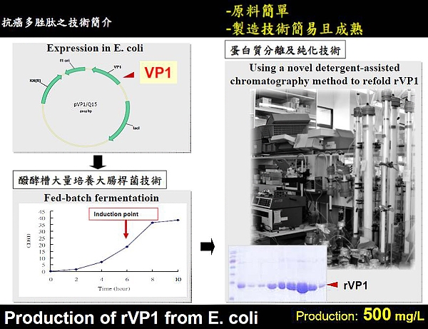 重組蛋白rVP1生產製成