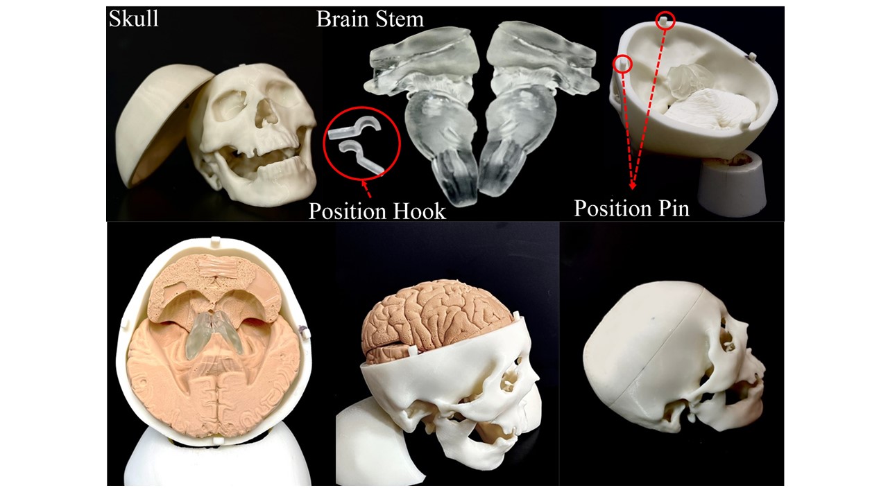 創新3D腦部手術訓練擬真系統