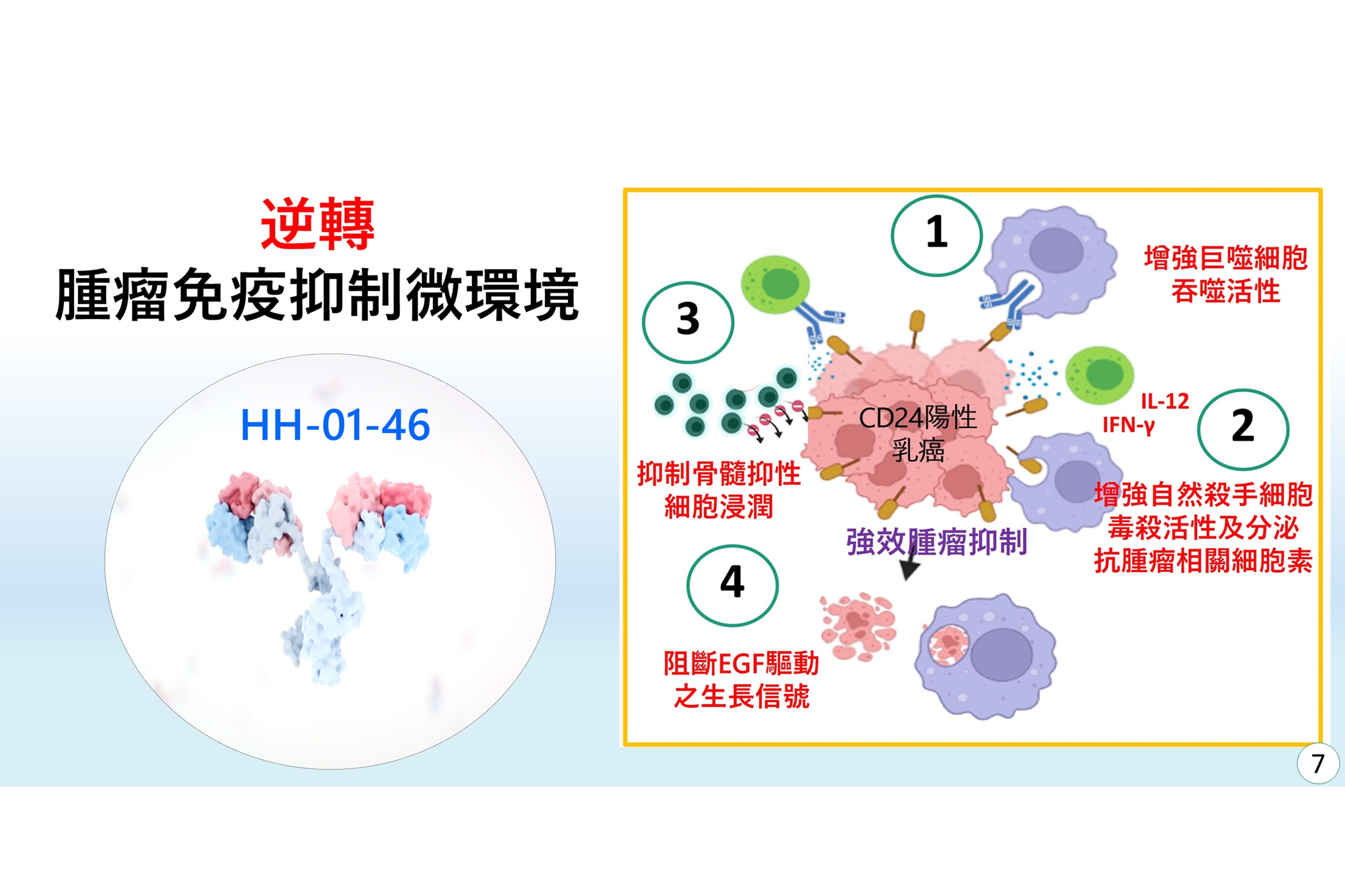 治療性CD24人源化單株抗體藥的抗腫瘤轉譯應用